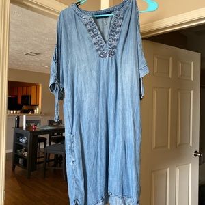 Francesca’s denim dress (extremely soft)